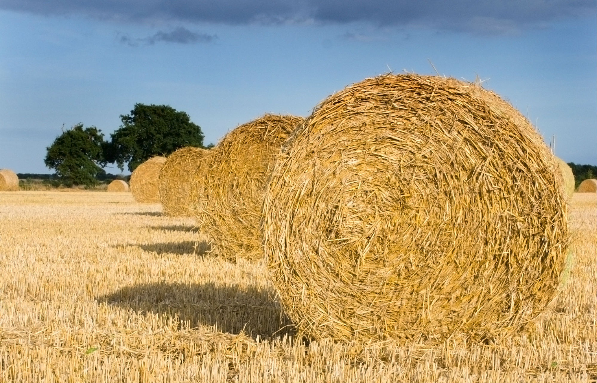 smallholdings in suffolk