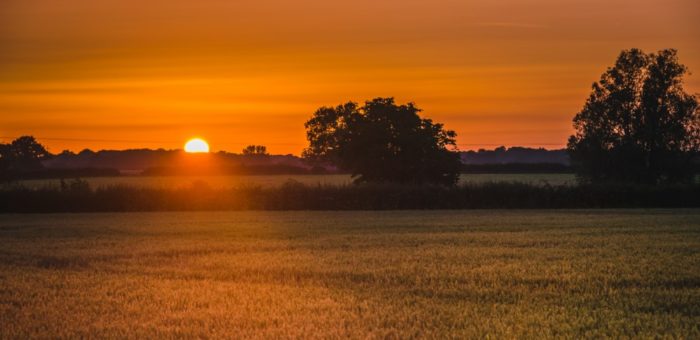 summer sunset from Peterborough shutterstock_1171156492 (1) | Garrington East Cambridgeshire towns