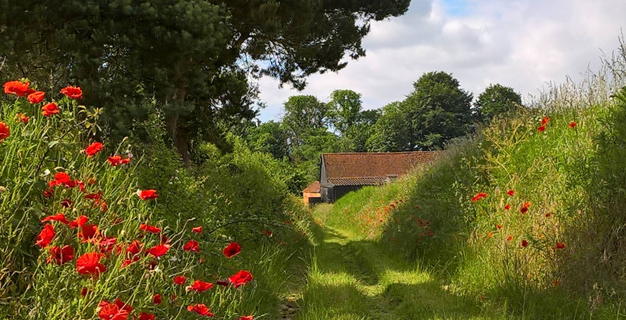 Best places to live near Ipswich